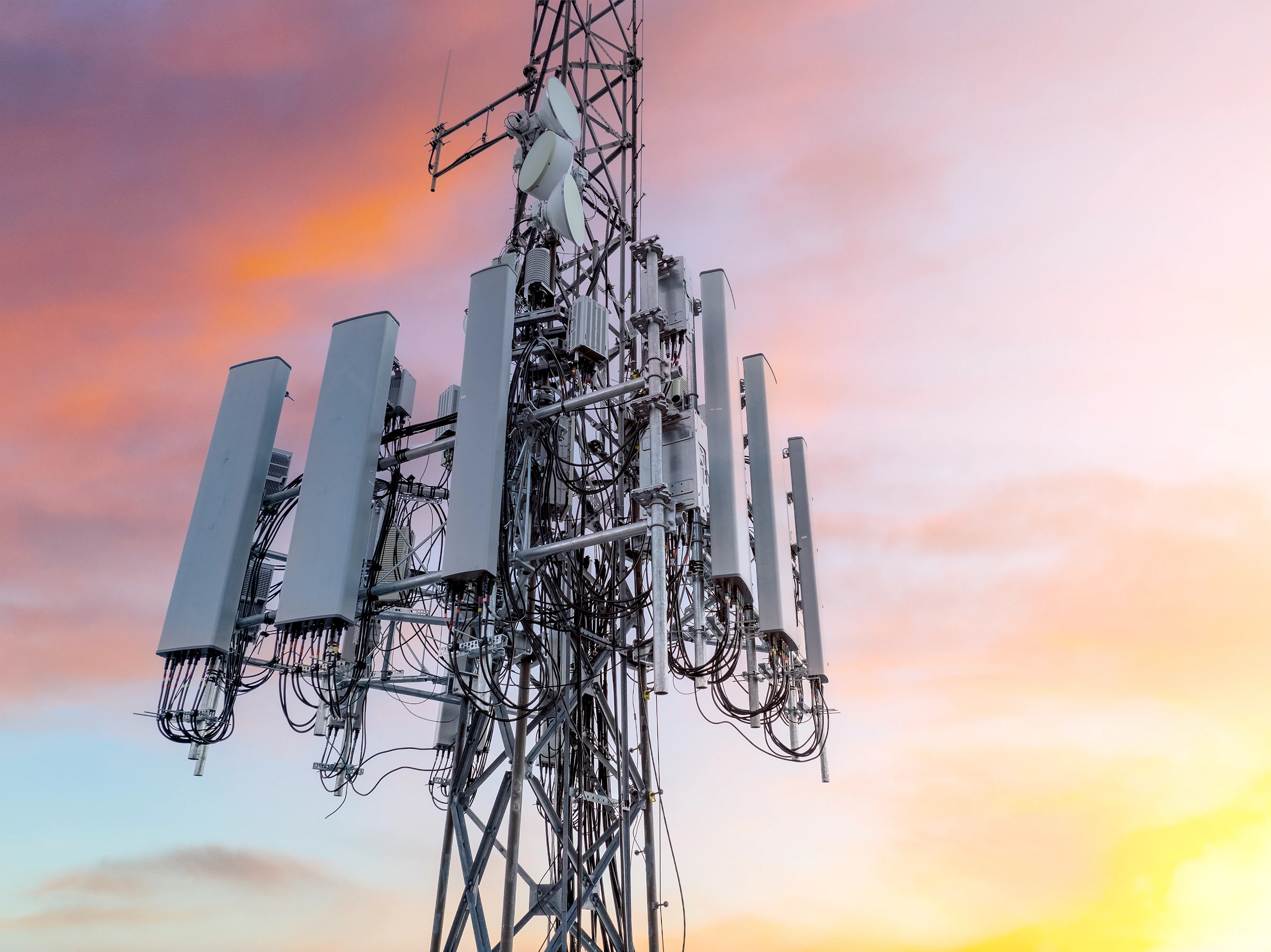 Panel antennas, radios, and cables on a telecommunications tower